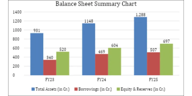Balance Sheet Summary Chart